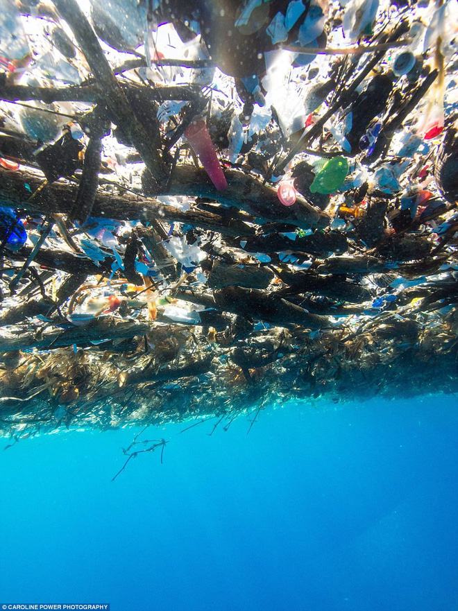 Cảnh tỉnh thực sự: Những bức hình cho thấy rác nhựa đang nuốt chửng đại dương - Ảnh 3.